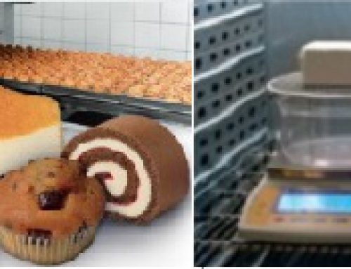 Emulgatori şi Stabilizatori pentru îngheţatăStabilizers and emulsifiers for ice cream